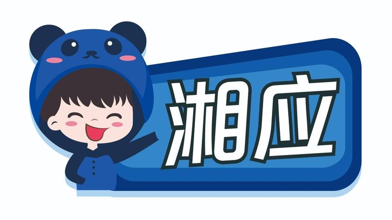 信息技术服务项目验收规范：关键要素与实施要点**